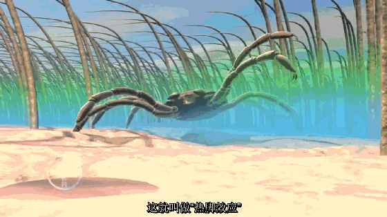​狗狗遭蜱虫叮咬应该用火烧？这才是正确的办法。-13.gif