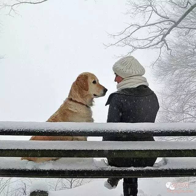 狗狗与宝宝！一组超有爱，超温暖的图片！-10.jpeg