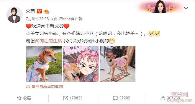 向往的生活：人离场，狗送养-10.jpeg