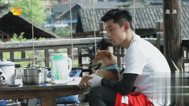 向往的生活：人离场，狗送养-11.gif