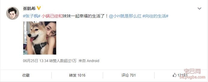 向往的生活：人离场，狗送养-8.jpeg