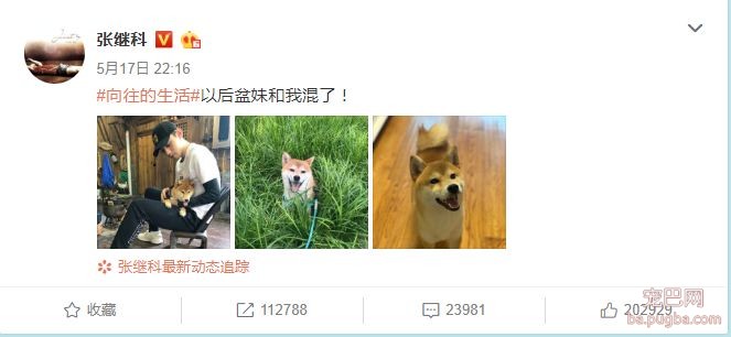 向往的生活：人离场，狗送养-7.jpeg
