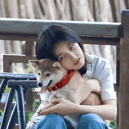 向往的生活：人离场，狗送养-9.gif
