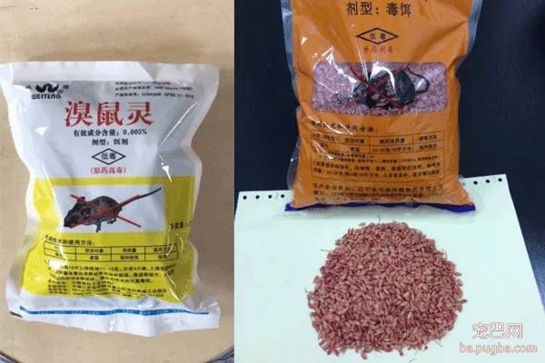 一条救命的消息：各大城市开始投鼠药了！看好你家狗-4.jpeg