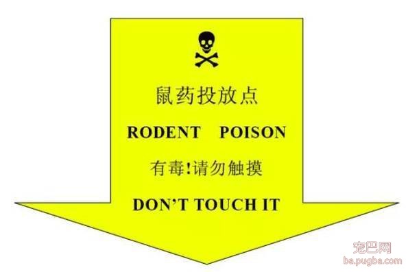 一条救命的消息：各大城市开始投鼠药了！看好你家狗-7.jpeg