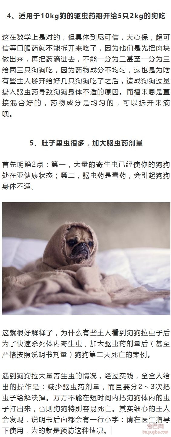 42天打疫苗？盘点5个养狗新手常犯的驱虫免疫误区-3.jpeg