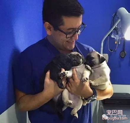 暖化了，宠物医院的医生和狗狗在一起的温馨画面-6.jpeg