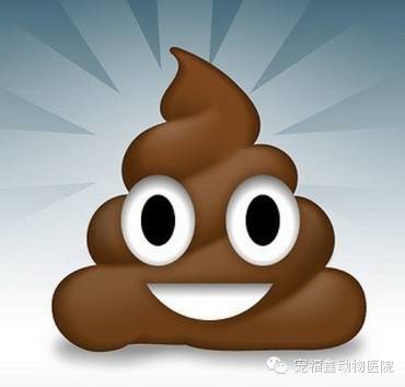 【医生说】判断狗狗是否健康的六要素-4.jpeg