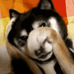 繁殖者的灵魂拷问：这些想哭的瞬间，是你吗？-3.gif