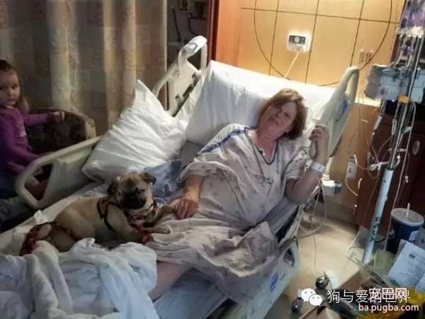 【关爱宠物】狗狗因为眼盲被弃养，后来，它成为了狗医生！-6.jpeg