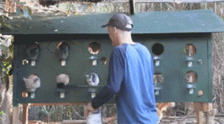 男子建设了一座流浪猫站，只是开饭时这景象也太壮观了吧！-2.gif
