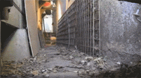 男子建设了一座流浪猫站，只是开饭时这景象也太壮观了吧！-6.gif