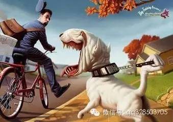 宠物狗技能训练大全-6.jpeg