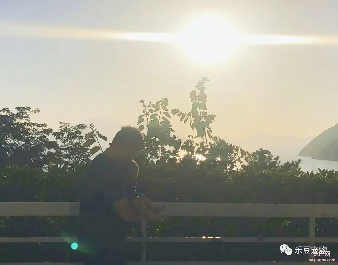 爱狗的明星很多，包括余文乐，亲自晒出宝宝和狗狗握手照片！-5.jpeg
