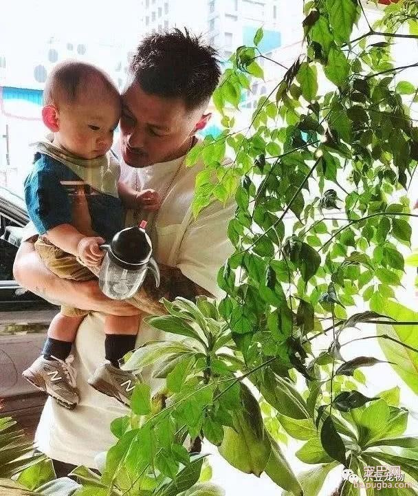 爱狗的明星很多，包括余文乐，亲自晒出宝宝和狗狗握手照片！-6.jpeg