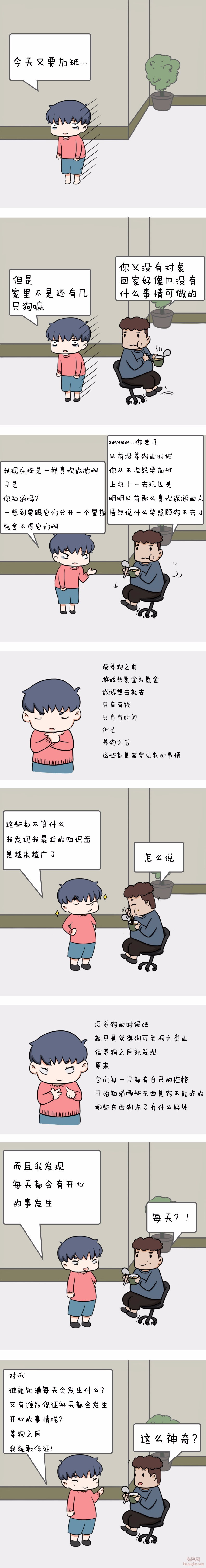 单身狗养狗是一种什么样的体验？-2.jpeg
