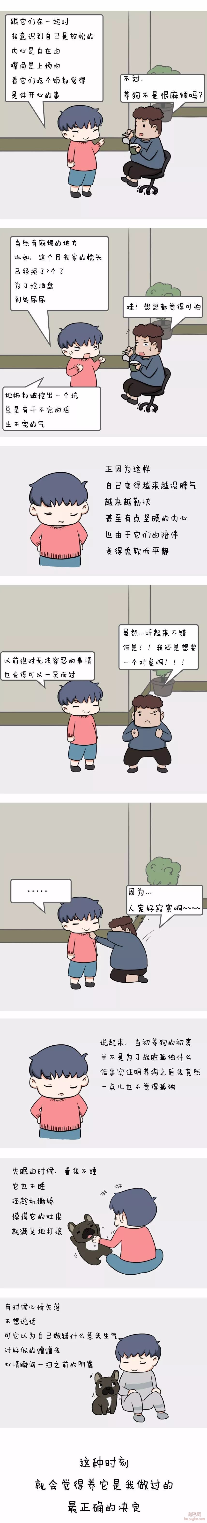 单身狗养狗是一种什么样的体验？-3.jpeg