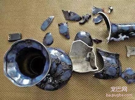 你家狗子破坏过最贵的东西是什么？天啊-3.jpeg