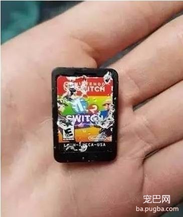 你家狗子破坏过最贵的东西是什么？天啊-5.jpeg