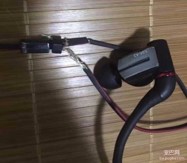 你家狗子破坏过最贵的东西是什么？天啊-13.jpeg