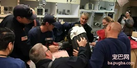 为了救这只贪玩的狗狗，消防员和医生都出动了！只是画面有点搞笑！-4.jpeg