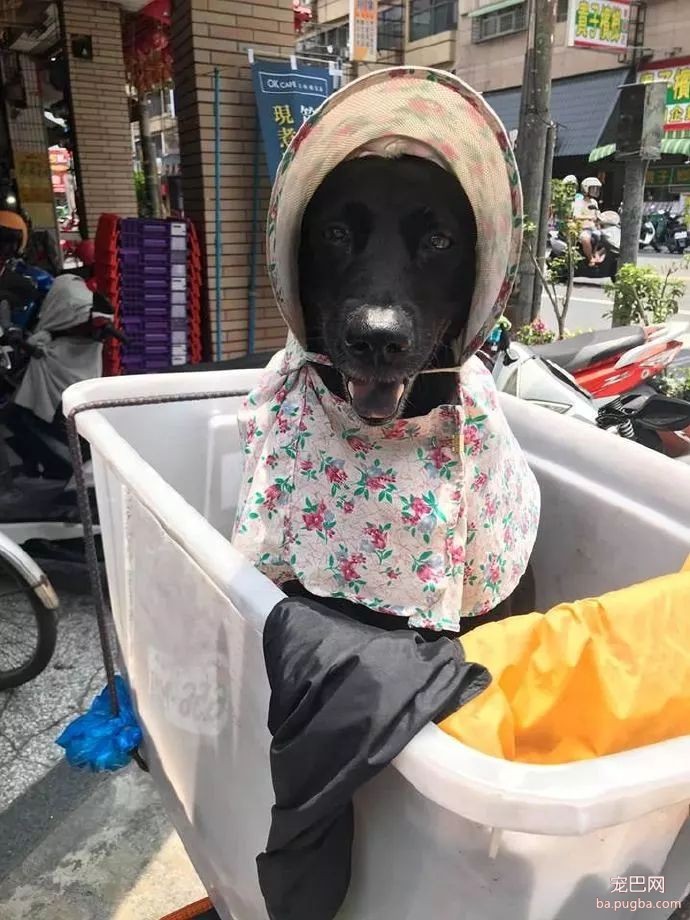 看到一骑车阿伯用塑料箱载老伴，觉得奇怪走近才发现...-2.jpeg