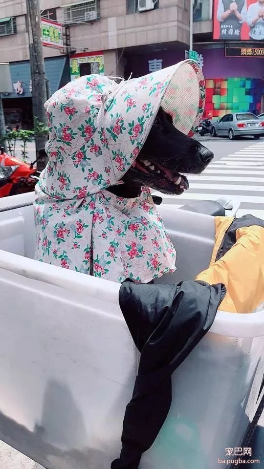 看到一骑车阿伯用塑料箱载老伴，觉得奇怪走近才发现...-4.jpeg