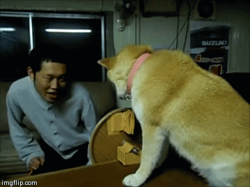 贱狗一箩筐，不是什么狗都那么有爱，哈哈哈哈……-5.gif