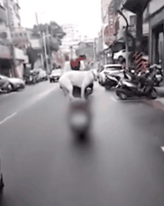 带狗狗骑车很酷炫？这样可能会害死你的狗！-1.gif
