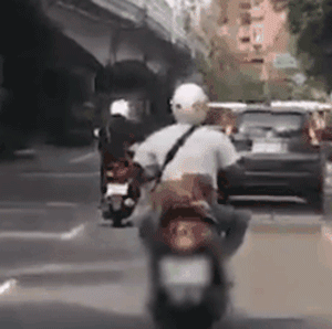 带狗狗骑车很酷炫？这样可能会害死你的狗！-4.gif
