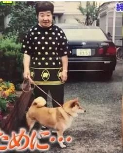 主人和柴柴双双患上老年痴呆被迫分离，重逢时却瞬间认出了彼此...-5.jpeg