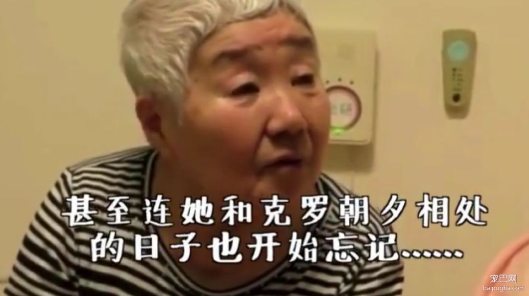 主人和柴柴双双患上老年痴呆被迫分离，重逢时却瞬间认出了彼此...-9.jpeg