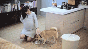 宠物是家人，请不要以任何理由抛弃它！-1.gif