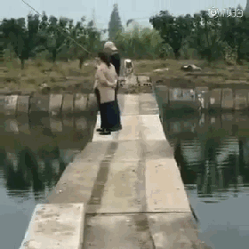 阿拉斯加实力演绎走路看手机的后果...心疼哈哈哈哈笑喷！-1.gif