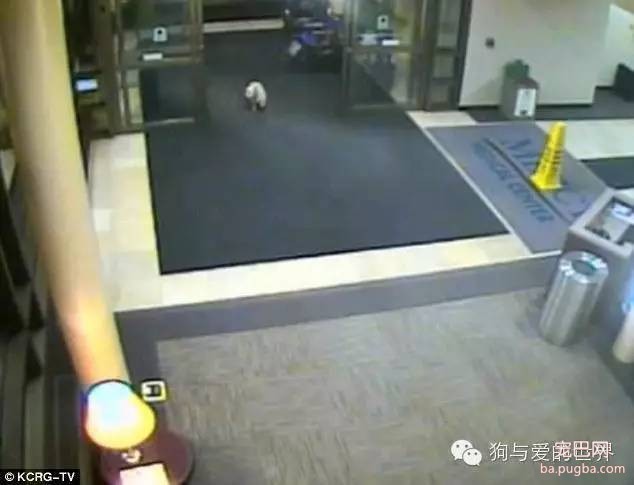 独自穿越20个街区，只为见到你！-2.jpeg