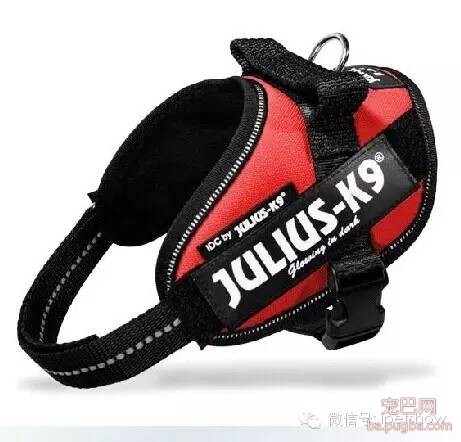 各种牵引绳的对比说明-17.jpeg