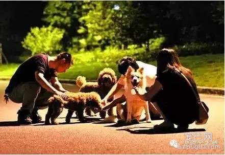 今天才了解到，喜欢养狗狗的人原来是这样子的......-9.jpeg