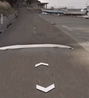 日本一只柴犬盯上了街景车，画风顿时变得超搞笑！-5.gif