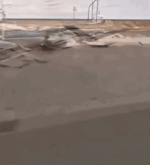 日本一只柴犬盯上了街景车，画风顿时变得超搞笑！-3.gif