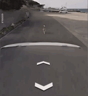 日本一只柴犬盯上了街景车，画风顿时变得超搞笑！-6.gif