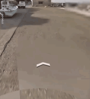 日本一只柴犬盯上了街景车，画风顿时变得超搞笑！-9.gif