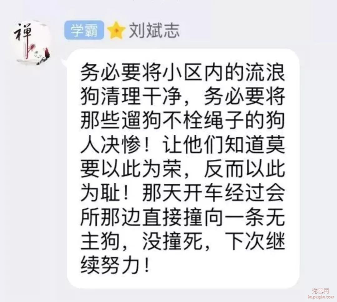 2018年，狗狗都经历了什么？-13.jpeg