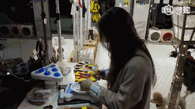 狗狗上幼儿园的一天：集体排排睡的场面真萌到炸！-5.gif