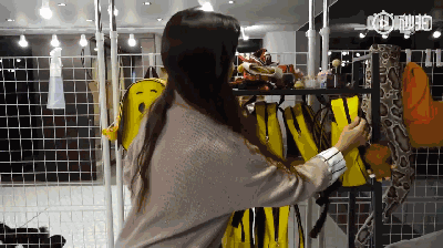 狗狗上幼儿园的一天：集体排排睡的场面真萌到炸！-7.gif