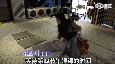 狗狗上幼儿园的一天：集体排排睡的场面真萌到炸！-9.gif