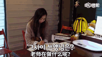 狗狗上幼儿园的一天：集体排排睡的场面真萌到炸！-11.gif