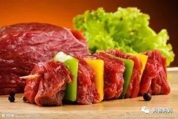 春节为什么是狗狗最容易生病的时候？-5.jpeg