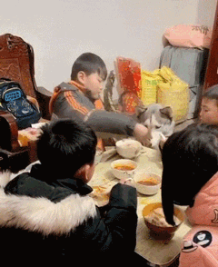 一家人正在吃饭，二哈馋的眼睛都直了，然后……-2.gif