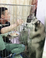 专（sha）业（diao）养狗小贴士，看得我差点就信了-8.gif