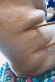专（sha）业（diao）养狗小贴士，看得我差点就信了-15.gif